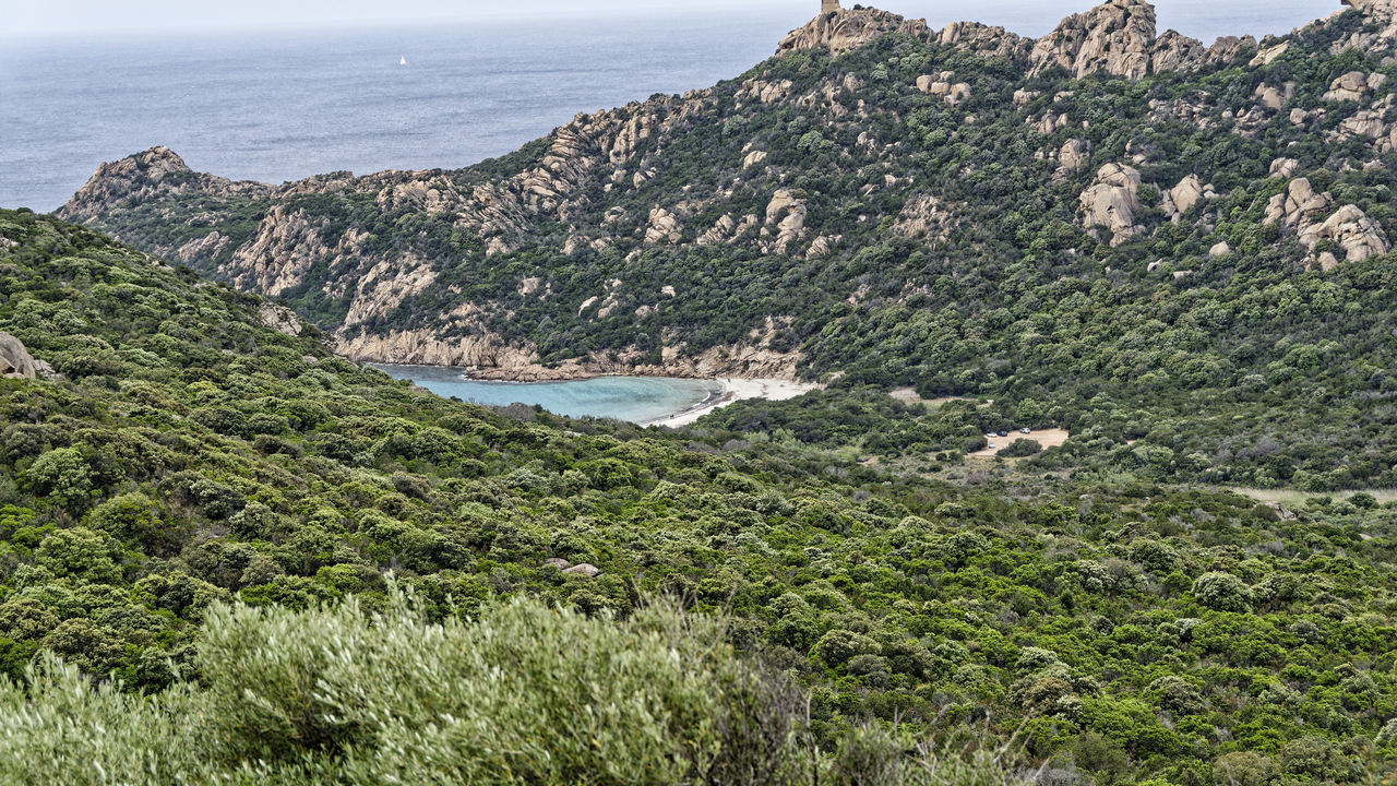 20230520 120755•Sartene•Corsica•France